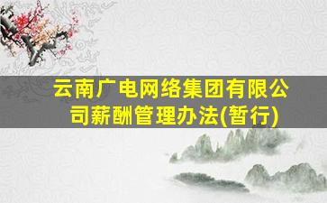 云南广电网络集团有限公司薪酬管理办法(暂行)