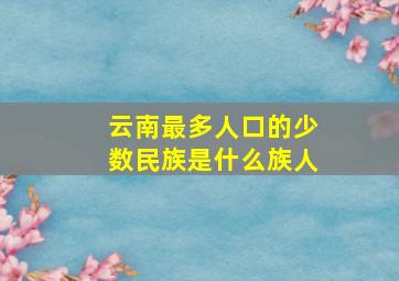 云南最多人口的少数民族是什么族人