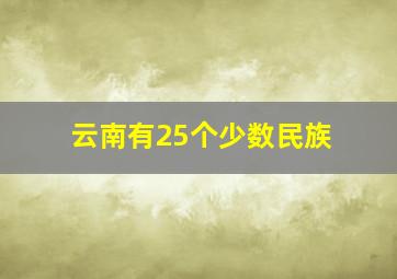 云南有25个少数民族