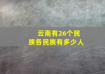 云南有26个民族各民族有多少人