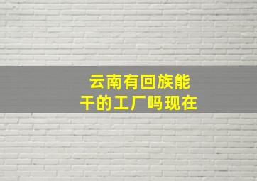 云南有回族能干的工厂吗现在