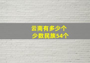 云南有多少个少数民族54个