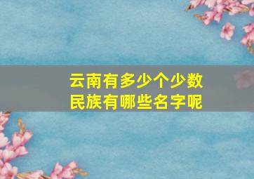 云南有多少个少数民族有哪些名字呢