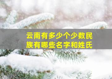 云南有多少个少数民族有哪些名字和姓氏