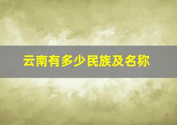 云南有多少民族及名称