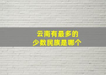 云南有最多的少数民族是哪个