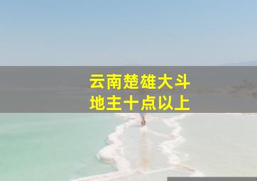 云南楚雄大斗地主十点以上