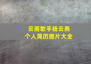 云南歌手杨云燕个人简历图片大全