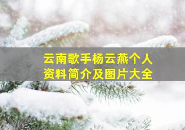 云南歌手杨云燕个人资料简介及图片大全