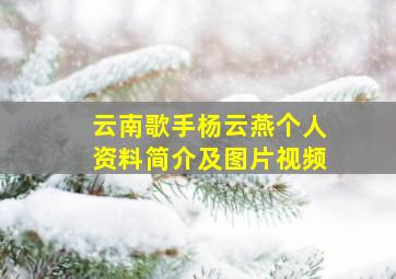 云南歌手杨云燕个人资料简介及图片视频