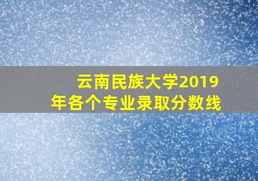 云南民族大学2019年各个专业录取分数线