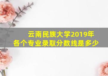 云南民族大学2019年各个专业录取分数线是多少