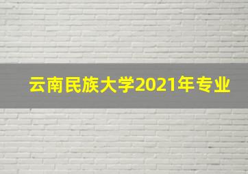 云南民族大学2021年专业