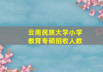 云南民族大学小学教育专硕招收人数