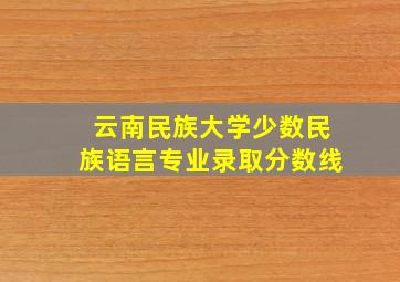 云南民族大学少数民族语言专业录取分数线