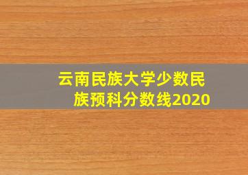 云南民族大学少数民族预科分数线2020