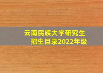 云南民族大学研究生招生目录2022年级