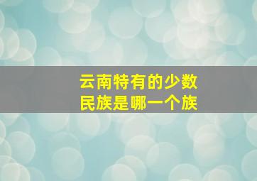 云南特有的少数民族是哪一个族