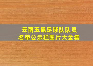 云南玉昆足球队队员名单公示栏图片大全集