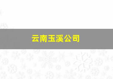 云南玉溪公司