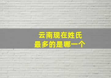 云南现在姓氏最多的是哪一个