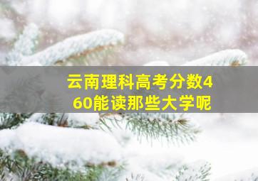 云南理科高考分数460能读那些大学呢