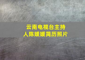 云南电视台主持人陈媛媛简历照片