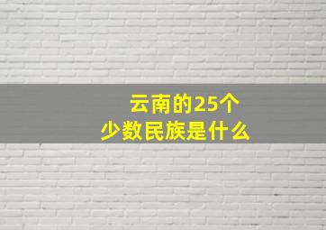 云南的25个少数民族是什么