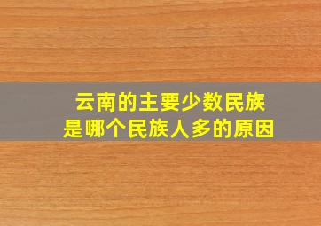 云南的主要少数民族是哪个民族人多的原因