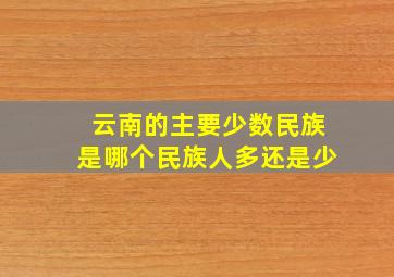 云南的主要少数民族是哪个民族人多还是少