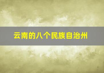 云南的八个民族自治州