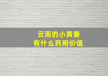 云南的小黄姜有什么药用价值