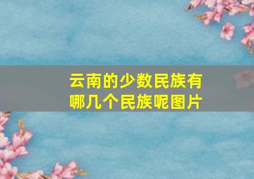 云南的少数民族有哪几个民族呢图片