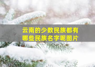 云南的少数民族都有哪些民族名字呢图片