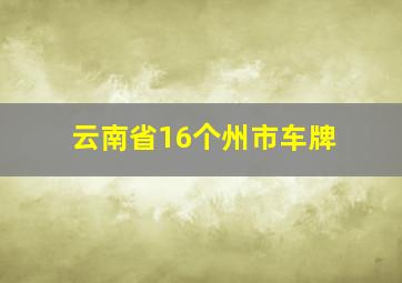 云南省16个州市车牌