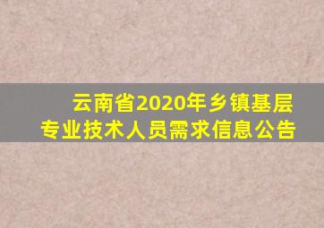 云南省2020年乡镇基层专业技术人员需求信息公告