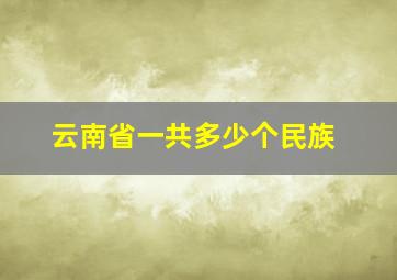 云南省一共多少个民族