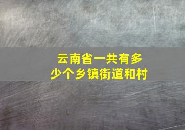 云南省一共有多少个乡镇街道和村