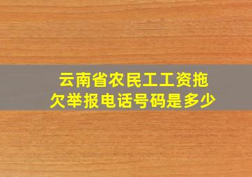 云南省农民工工资拖欠举报电话号码是多少