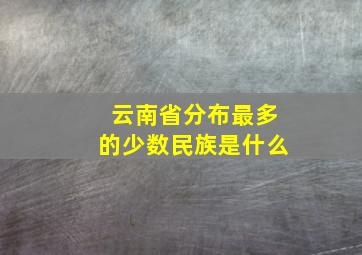 云南省分布最多的少数民族是什么