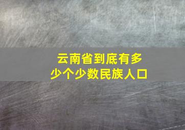 云南省到底有多少个少数民族人口