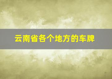 云南省各个地方的车牌