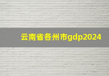 云南省各州市gdp2024