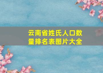 云南省姓氏人口数量排名表图片大全