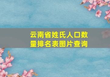 云南省姓氏人口数量排名表图片查询