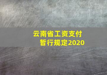 云南省工资支付暂行规定2020