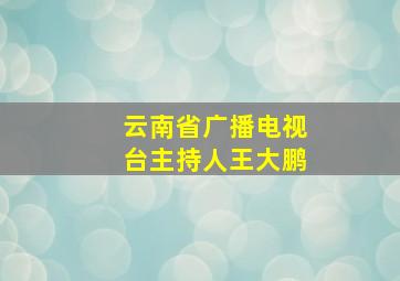 云南省广播电视台主持人王大鹏