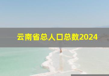 云南省总人口总数2024