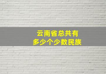 云南省总共有多少个少数民族