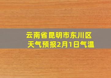 云南省昆明市东川区天气预报2月1日气温